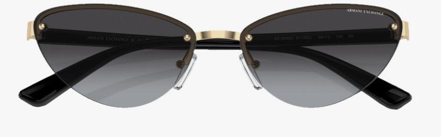 Lunettes de soleil Armani Exchange 0AX2049S61108G58 — 4