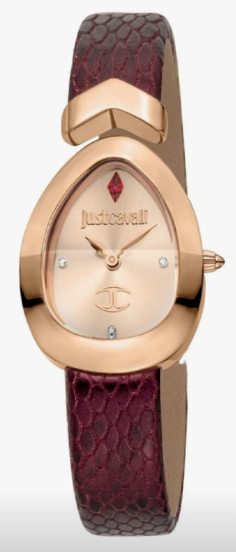 Montre Femme Luxe