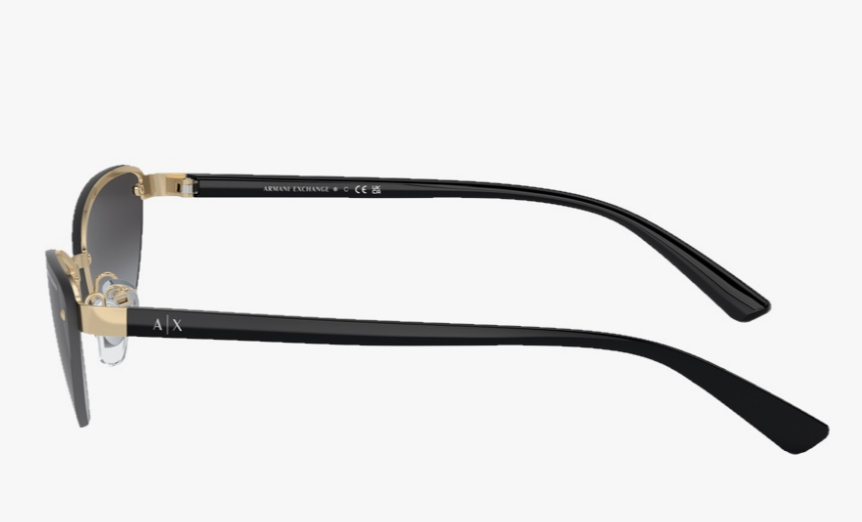 Lunettes de soleil Armani Exchange 0AX2049S61108G58 — 3