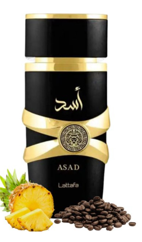 LATAFA ASAD NOIR — 3