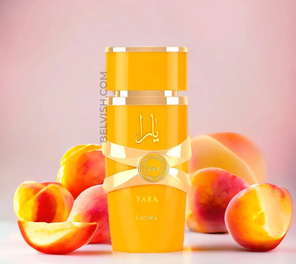 LATAFA YARA TOUS — 3