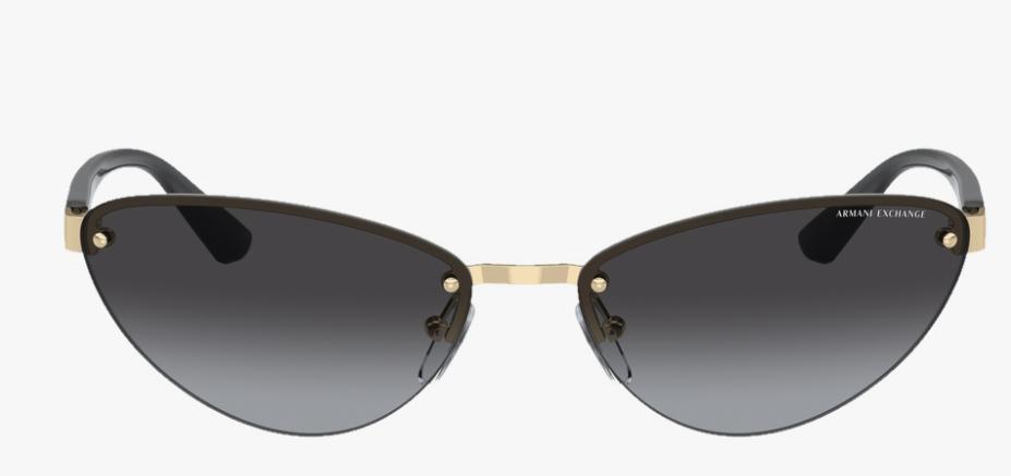 Lunettes de soleil Armani Exchange 0AX2049S61108G58